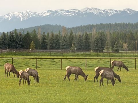 Tiny photo for 567 Twin Bridges Road, Whitefish, MT 59937 (MLS # 30066398)