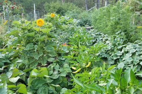 Tiny photo for 877 Koocanusa Estates Drive, Eureka, MT 59917 (MLS # 30070924)