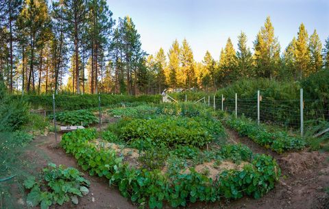 Tiny photo for 877 Koocanusa Estates Drive, Eureka, MT 59917 (MLS # 30070924)