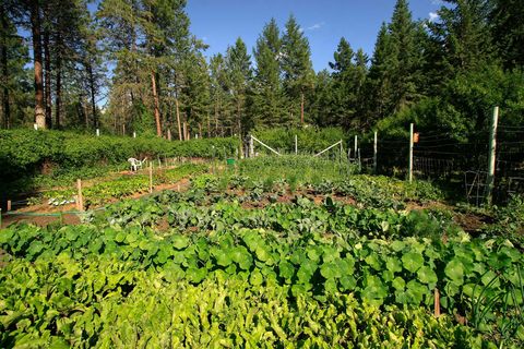 Tiny photo for 877 Koocanusa Estates Drive, Eureka, MT 59917 (MLS # 30070924)