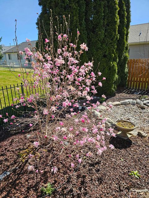 Tiny photo for 116 Alberta Court, Hamilton, MT 59840 (MLS # 30070666)