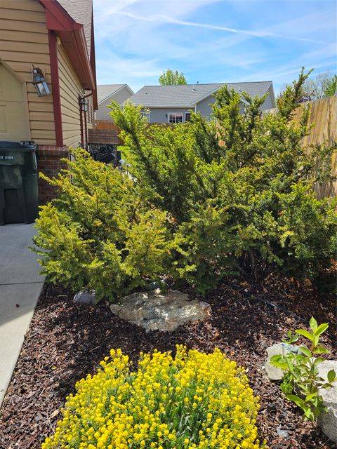 Tiny photo for 116 Alberta Court, Hamilton, MT 59840 (MLS # 30070666)