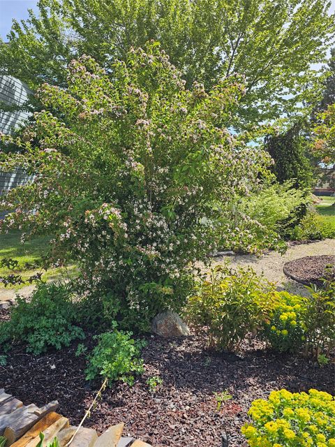 Tiny photo for 116 Alberta Court, Hamilton, MT 59840 (MLS # 30070666)