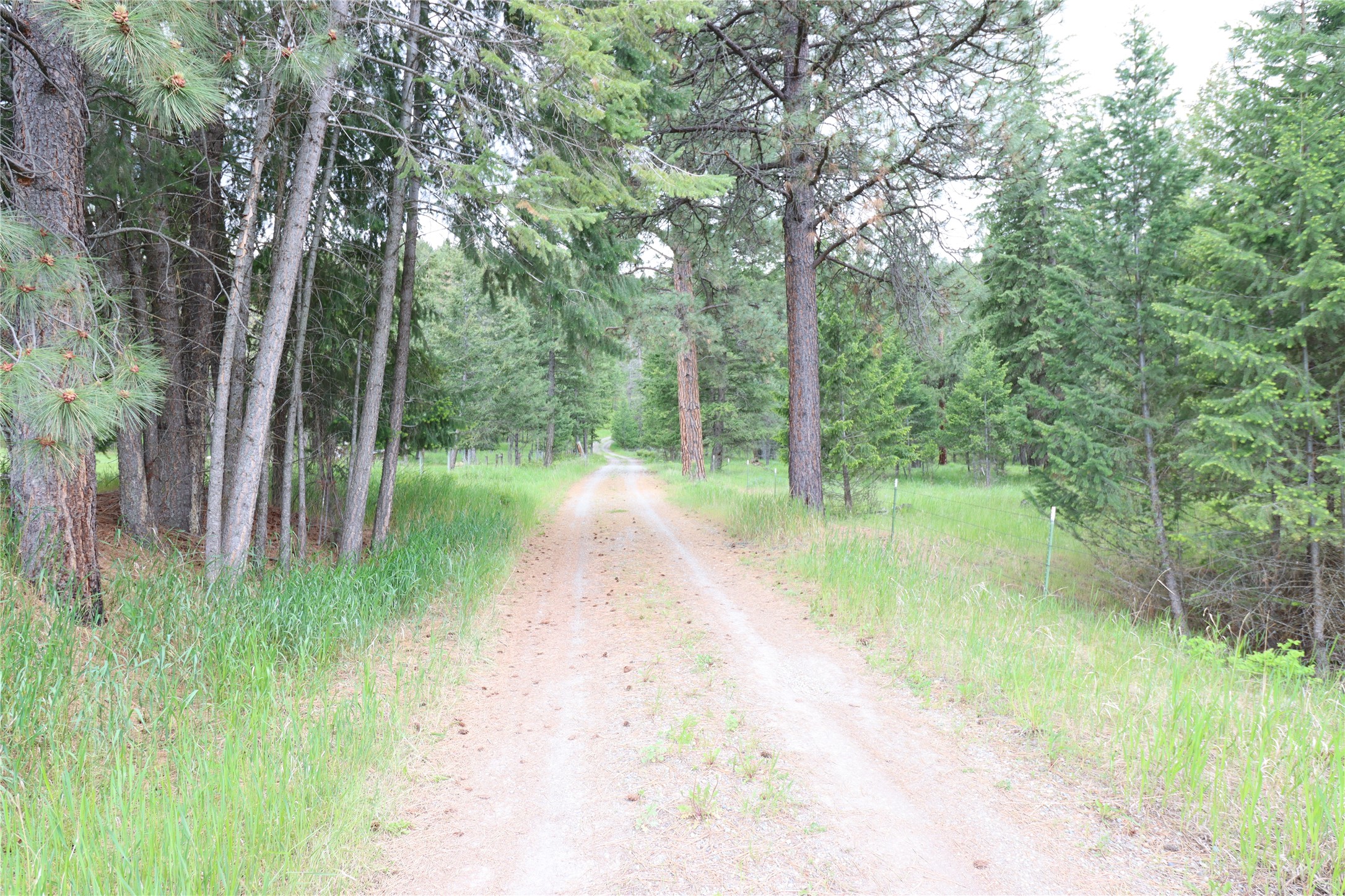 Nhn Black Lake Road
