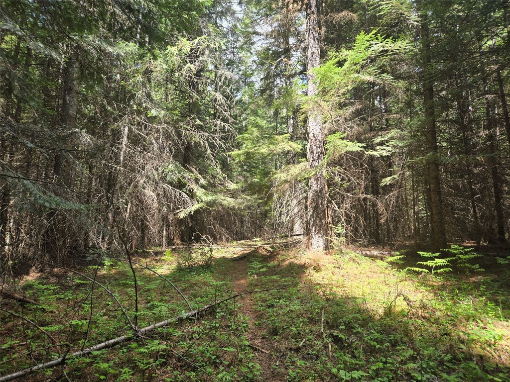 Photo of Lot A-2 Elk Heights Lane, Heron, MT 59844 (MLS # 30071505)