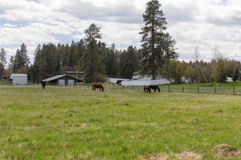 Tiny photo for NHN Placid Drive #1-9, Kalispell, MT 59901 (MLS # 30076892)