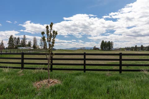 Tiny photo for NHN Placid Drive #1-9, Kalispell, MT 59901 (MLS # 30076892)