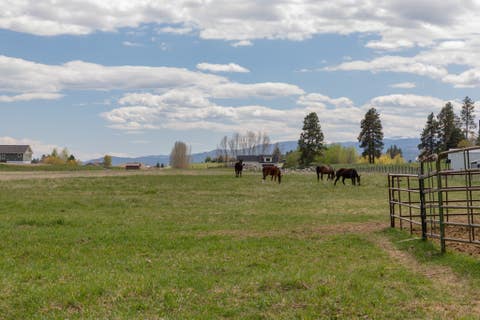 Tiny photo for NHN Placid Drive #1-9, Kalispell, MT 59901 (MLS # 30076892)