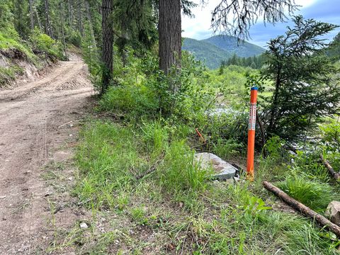 Tiny photo for Nhn Hope Valley Road, Trout Creek, MT 59874 (MLS # 30072443)