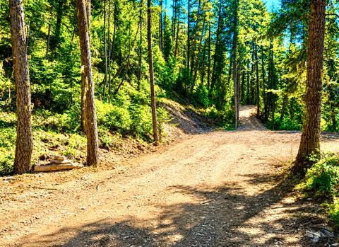 Tiny photo for Nhn Hope Valley Road, Trout Creek, MT 59874 (MLS # 30072443)