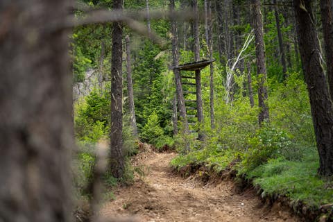 Tiny photo for Nhn Hope Valley Road, Trout Creek, MT 59874 (MLS # 30072443)
