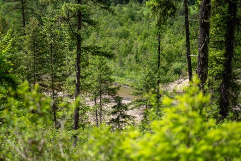 Tiny photo for Nhn Hope Valley Road, Trout Creek, MT 59874 (MLS # 30072443)