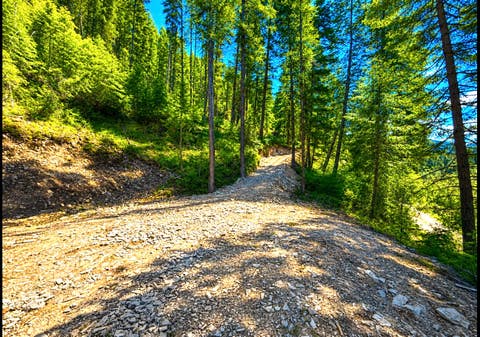 Tiny photo for Nhn Hope Valley Road, Trout Creek, MT 59874 (MLS # 30072443)