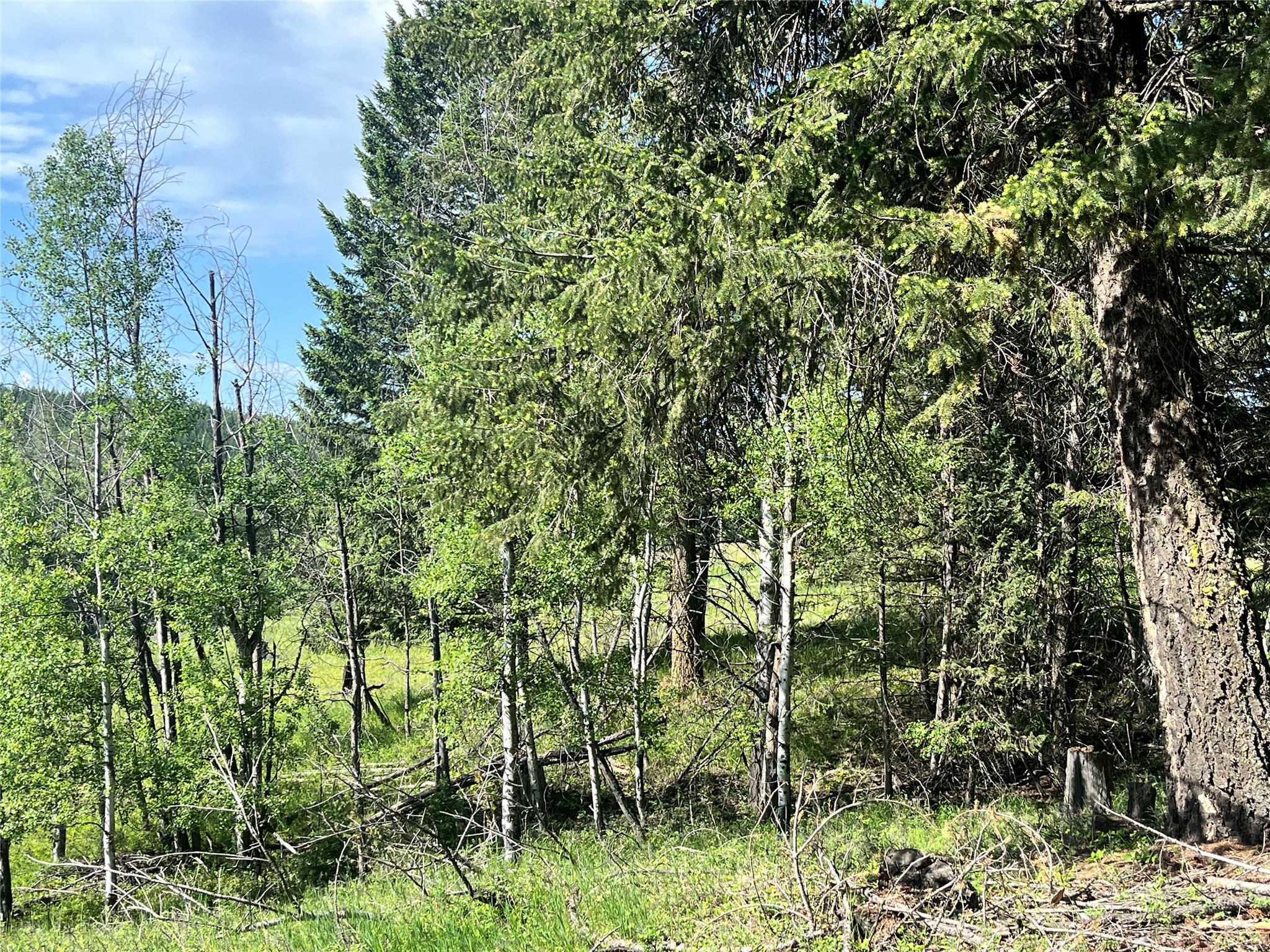 NHN Crystal Lakes Drive