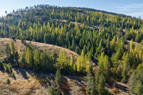Tiny photo for 1230 Truman Creek Road, Kila, MT 59920 (MLS # 30075699)