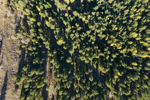 Tiny photo for 1230 Truman Creek Road, Kila, MT 59920 (MLS # 30075699)