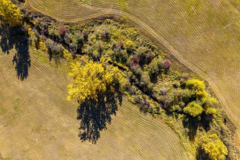 Tiny photo for 1230 Truman Creek Road, Kila, MT 59920 (MLS # 30075699)