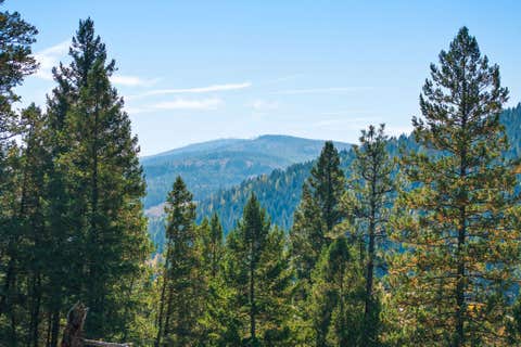 Tiny photo for 1230 Truman Creek Road, Kila, MT 59920 (MLS # 30075699)