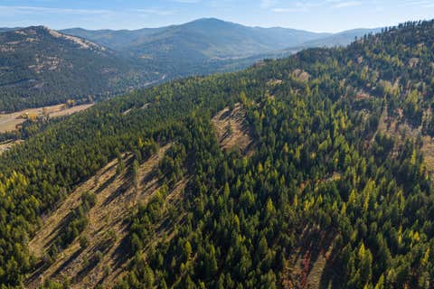 Tiny photo for 1230 Truman Creek Road, Kila, MT 59920 (MLS # 30075699)