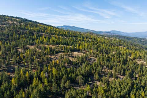 Tiny photo for 1230 Truman Creek Road, Kila, MT 59920 (MLS # 30075699)