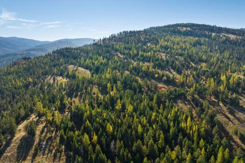 Tiny photo for 1230 Truman Creek Road, Kila, MT 59920 (MLS # 30075699)