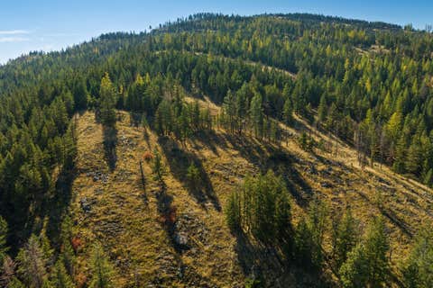 Tiny photo for 1230 Truman Creek Road, Kila, MT 59920 (MLS # 30075699)