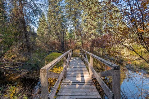 Tiny photo for 1230 Truman Creek Road, Kila, MT 59920 (MLS # 30075699)
