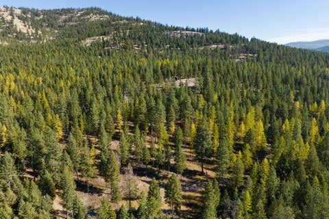 Tiny photo for 1230 Truman Creek Road, Kila, MT 59920 (MLS # 30075699)
