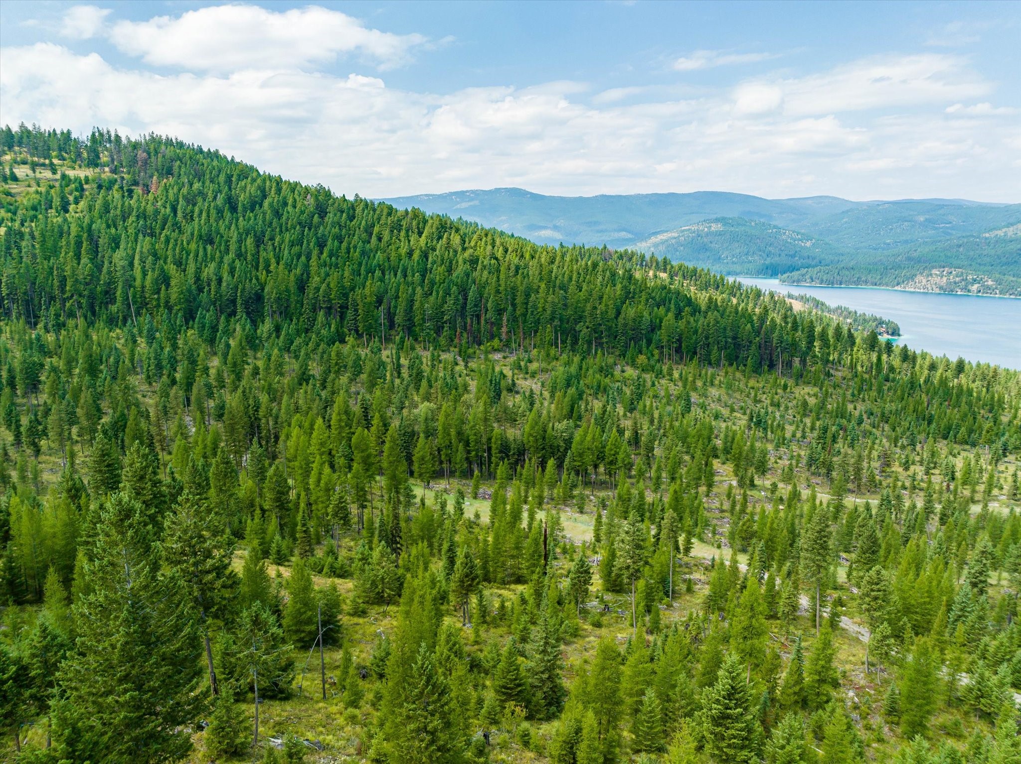 Kalispell, Montana 59901, United States, ,Land,Active,48643