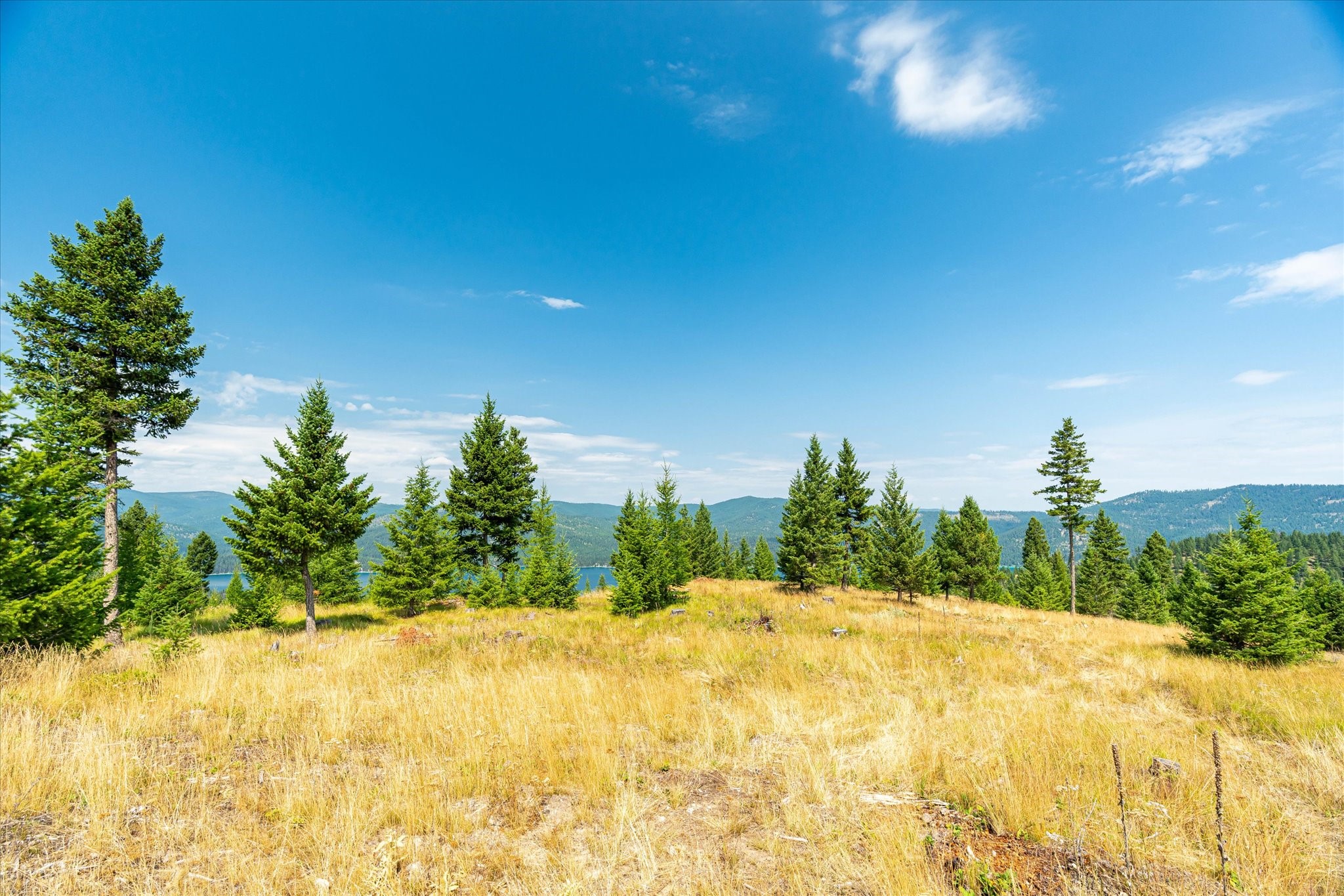 Kalispell, Montana 59901, United States, ,Land,Active,48643