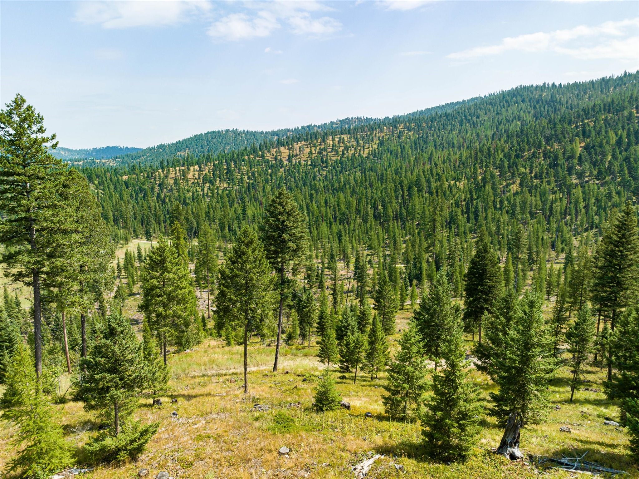 Kalispell, Montana 59901, United States, ,Land,Active,48643