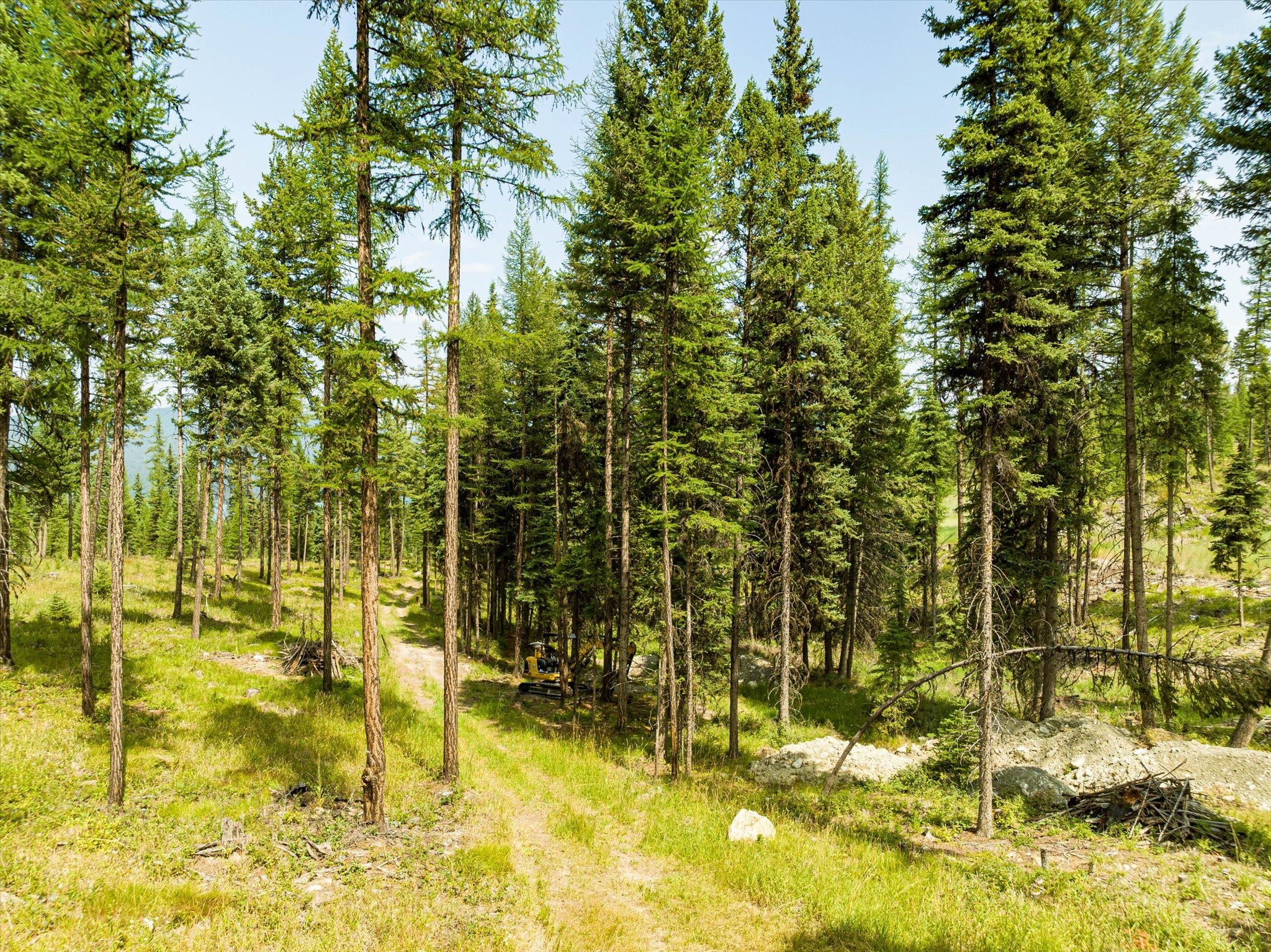 Kalispell, Montana 59901, United States, ,Land,Active,48643