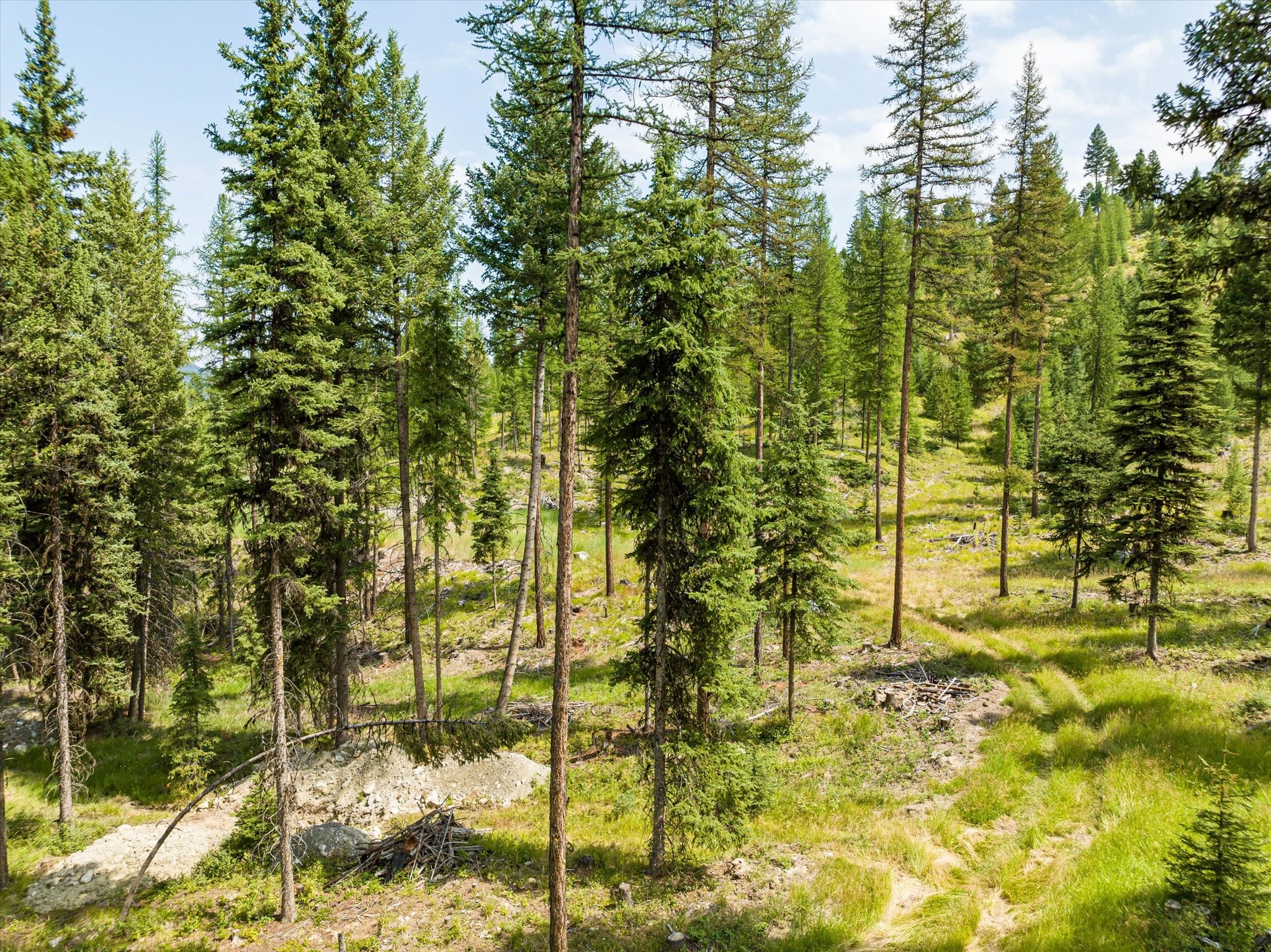 Kalispell, Montana 59901, United States, ,Land,Active,48643