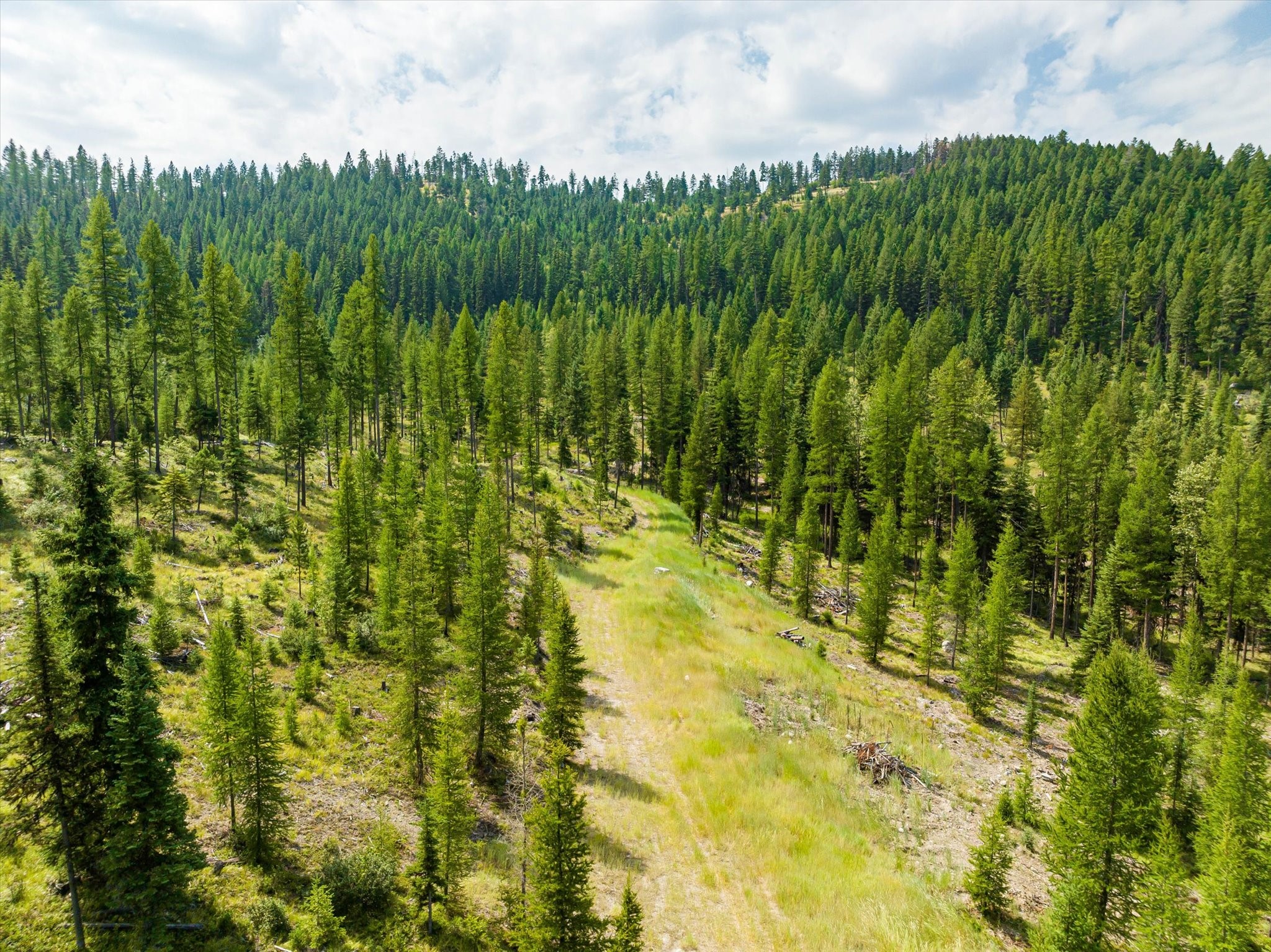 Kalispell, Montana 59901, United States, ,Land,Active,48643