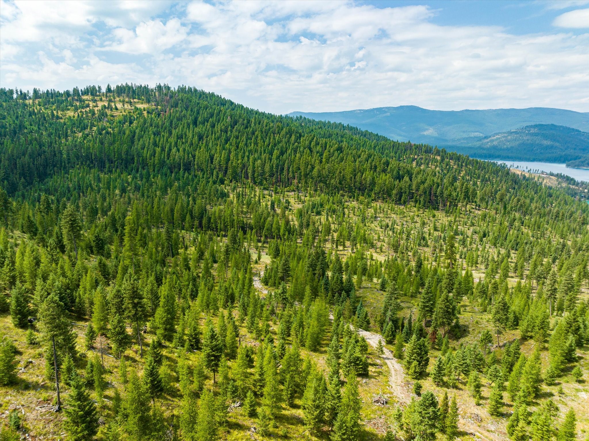 Kalispell, Montana 59901, United States, ,Land,Active,48643