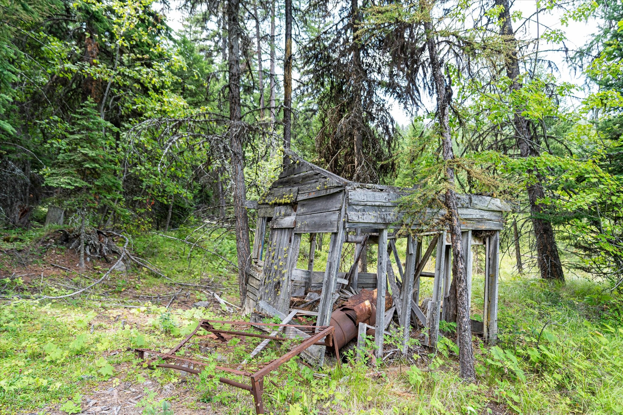 Kalispell, Montana 59901, United States, ,Land,Active,48643