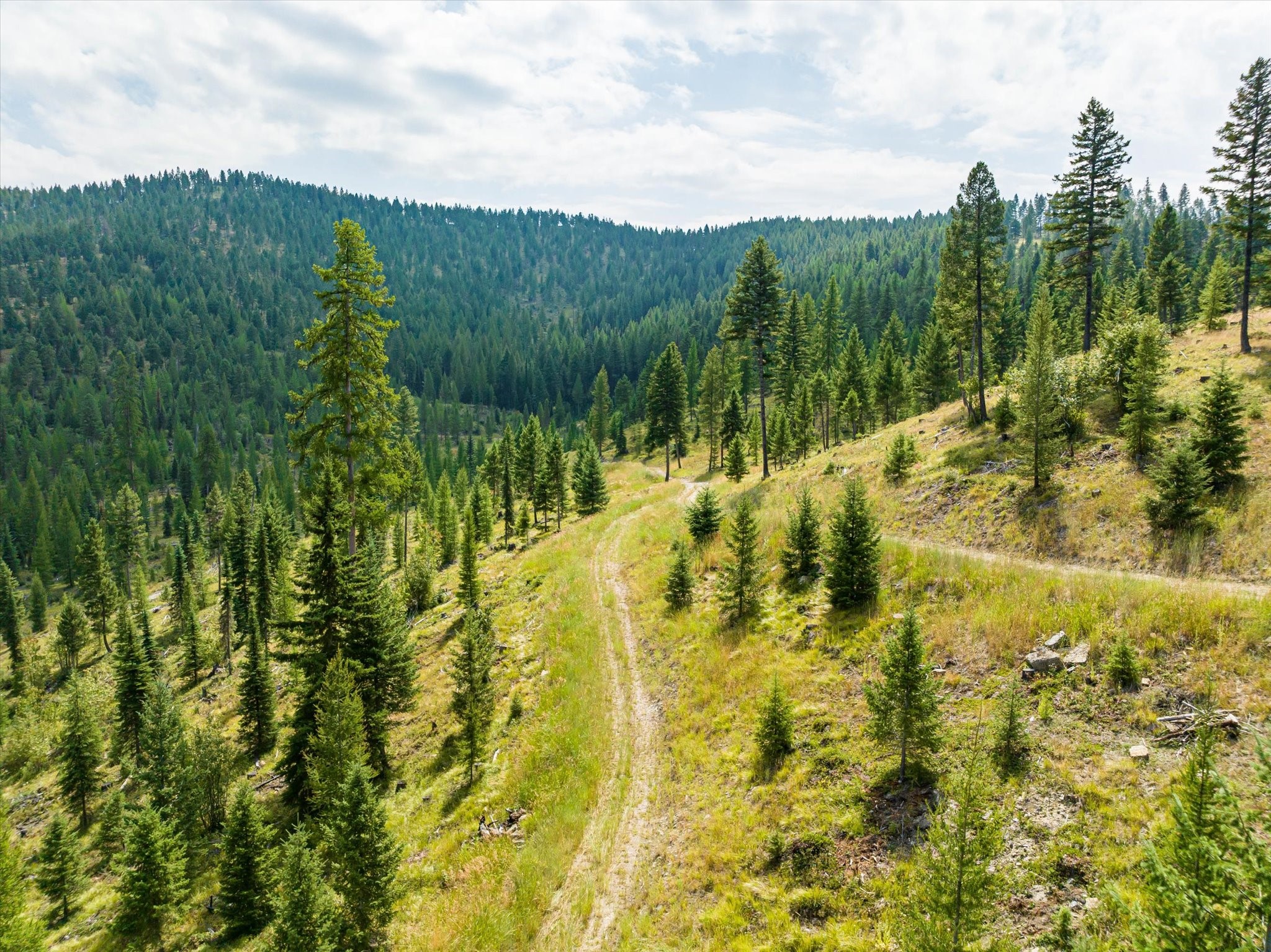 Kalispell, Montana 59901, United States, ,Land,Active,48643