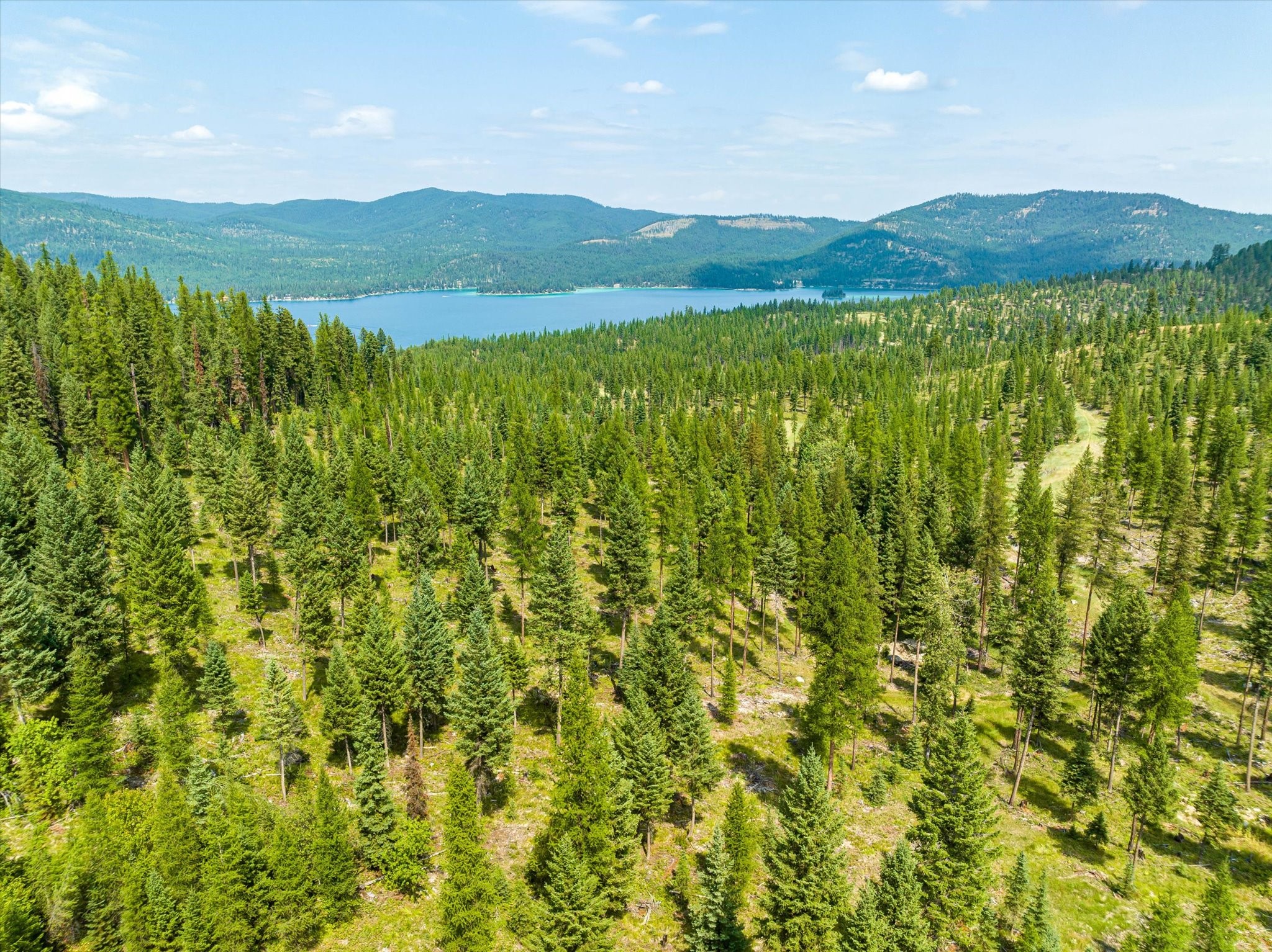 Kalispell, Montana 59901, United States, ,Land,Active,48643