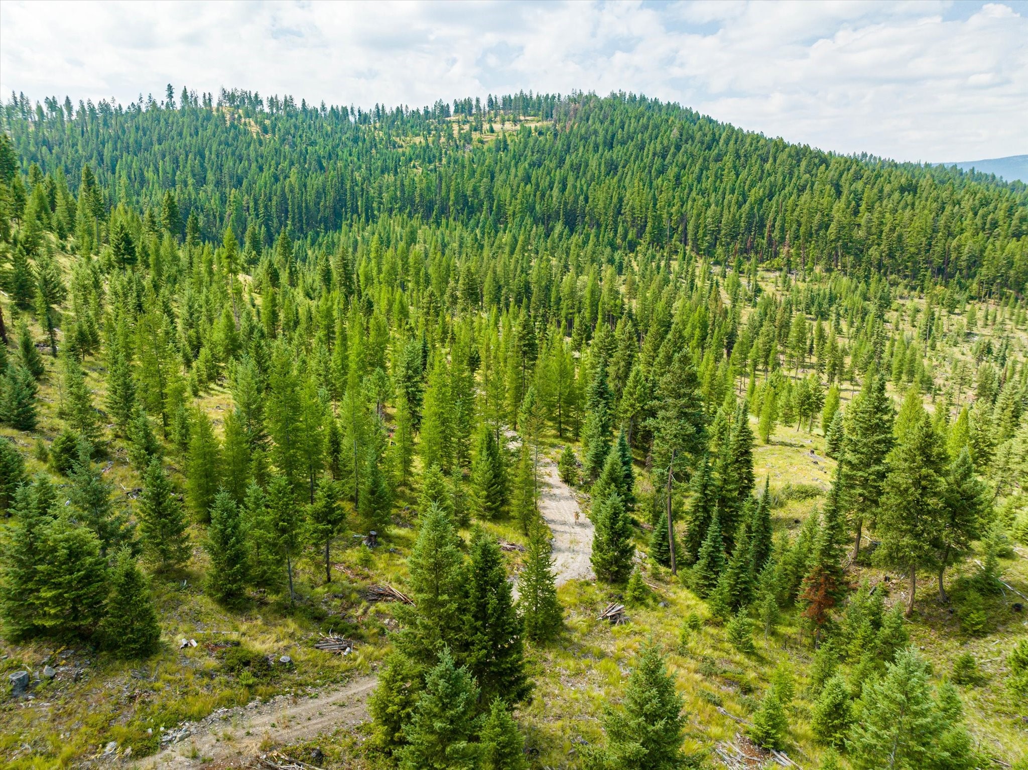 Kalispell, Montana 59901, United States, ,Land,Active,48643