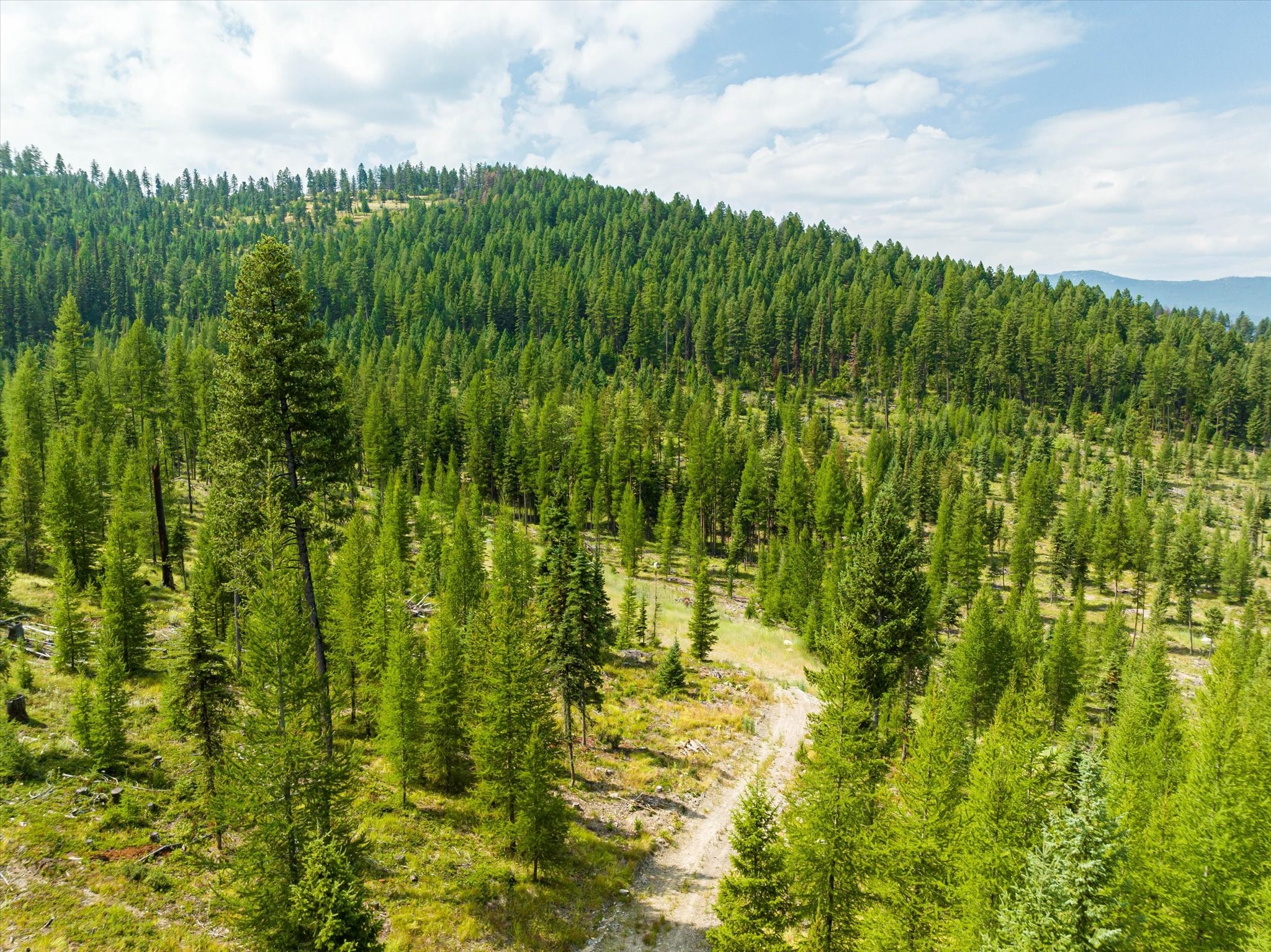 Kalispell, Montana 59901, United States, ,Land,Active,48643