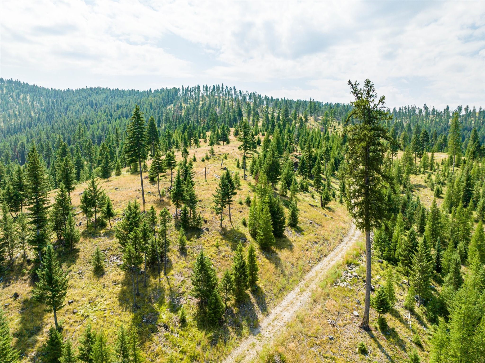 Kalispell, Montana 59901, United States, ,Land,Active,48643