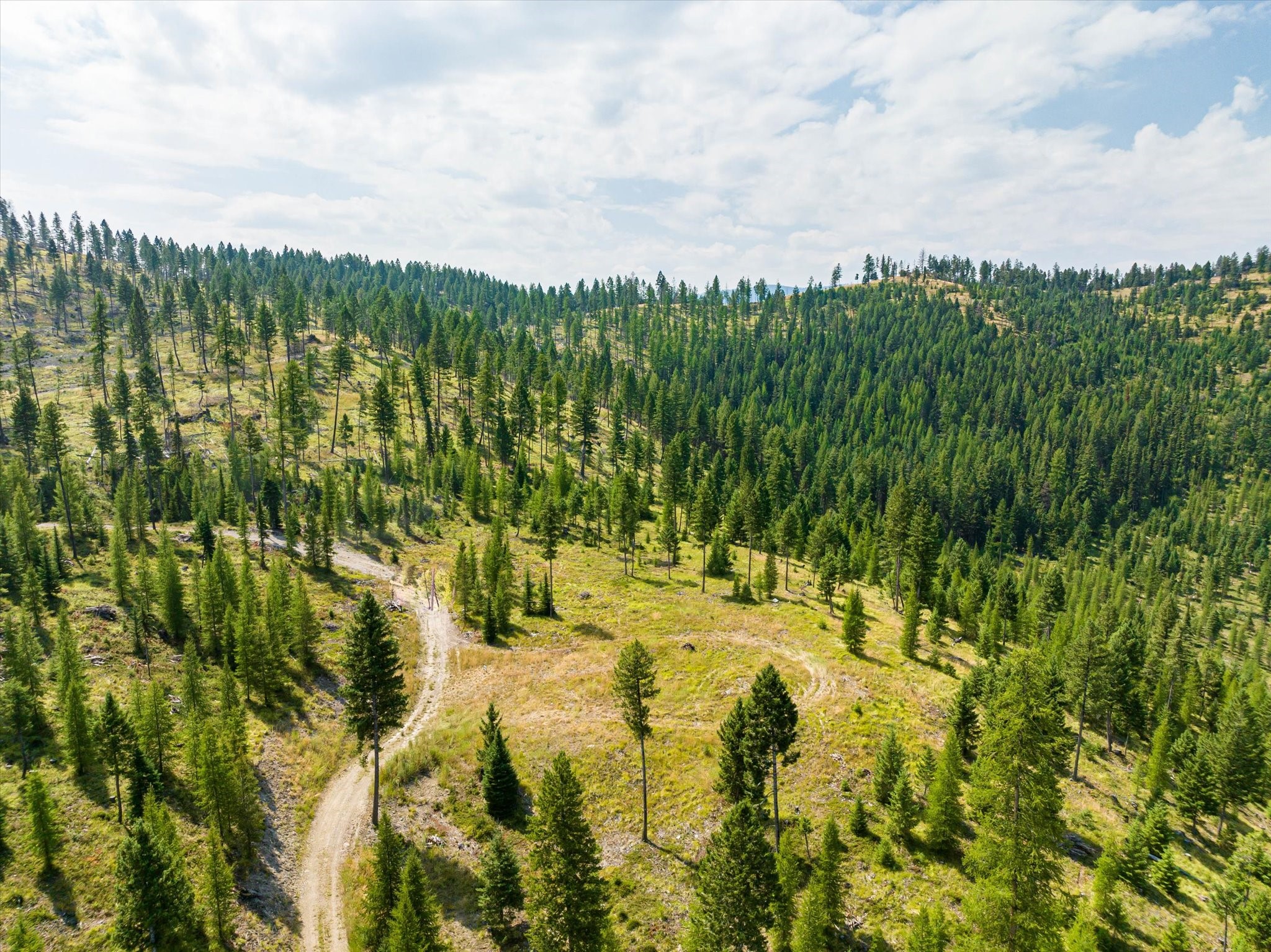 Kalispell, Montana 59901, United States, ,Land,Active,48643