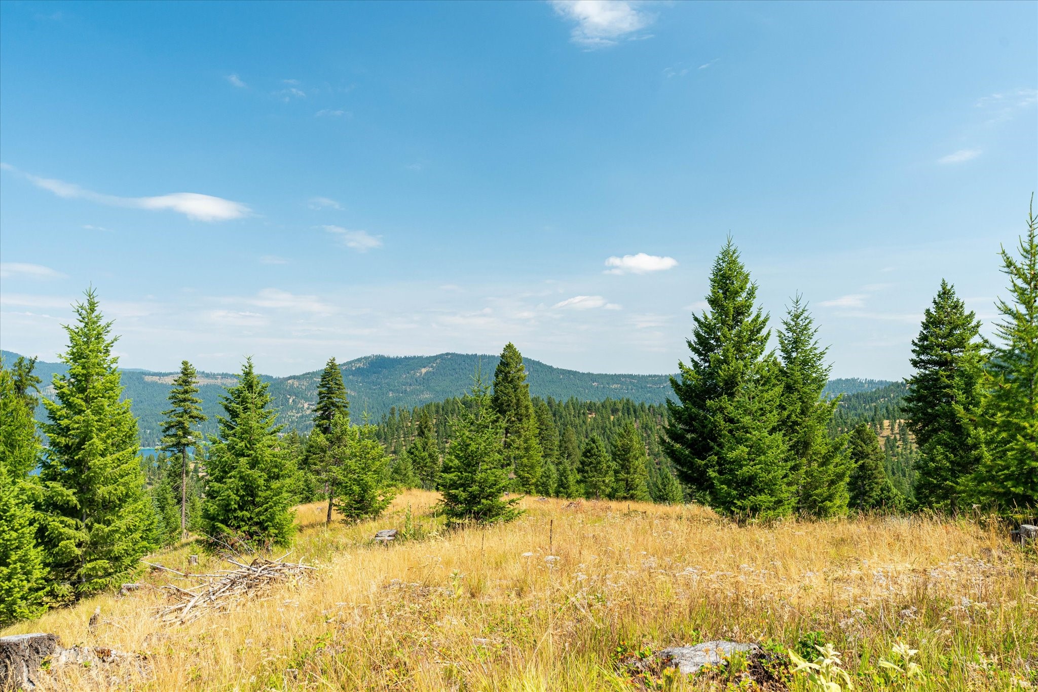 Kalispell, Montana 59901, United States, ,Land,Active,48643