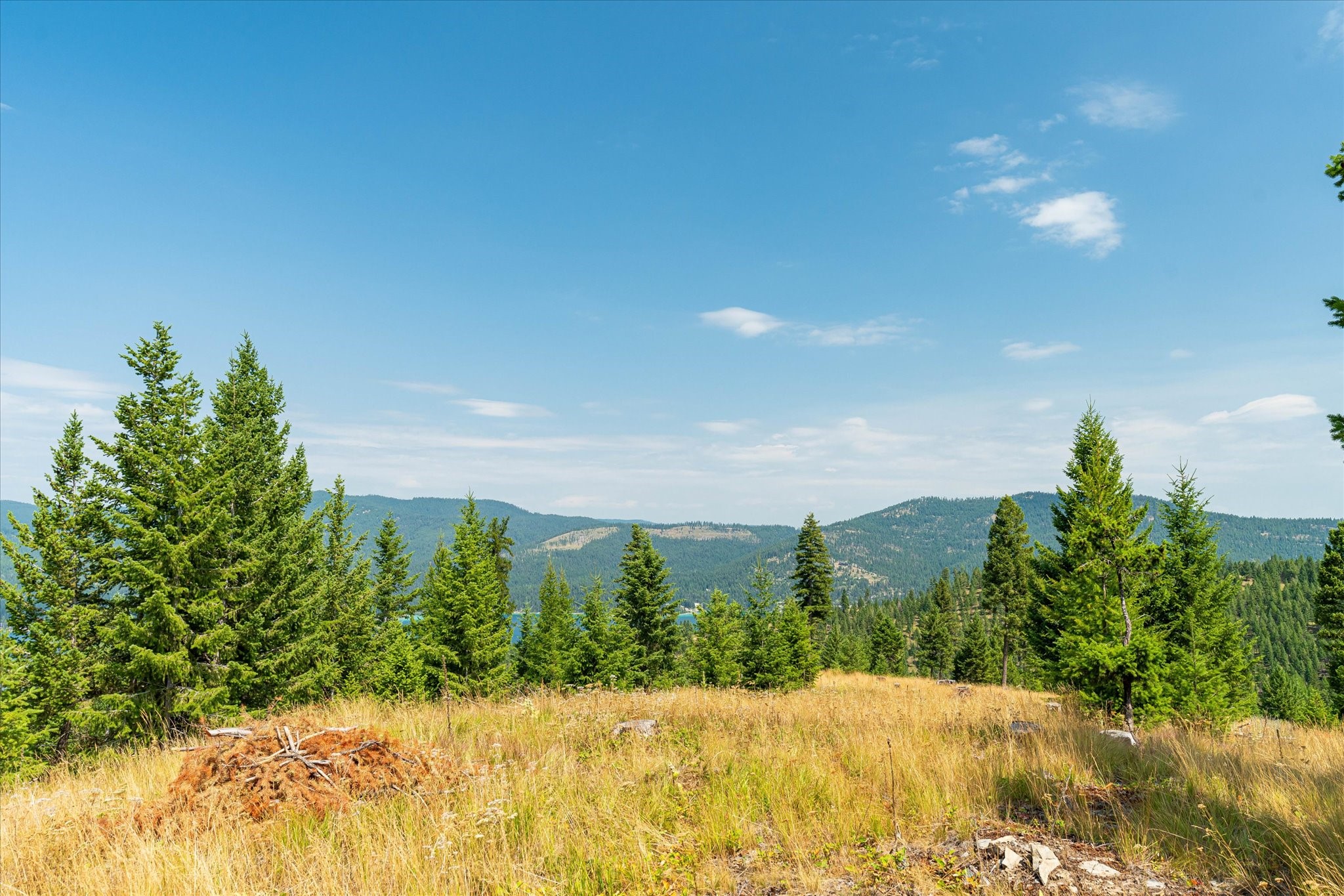 Kalispell, Montana 59901, United States, ,Land,Active,48643