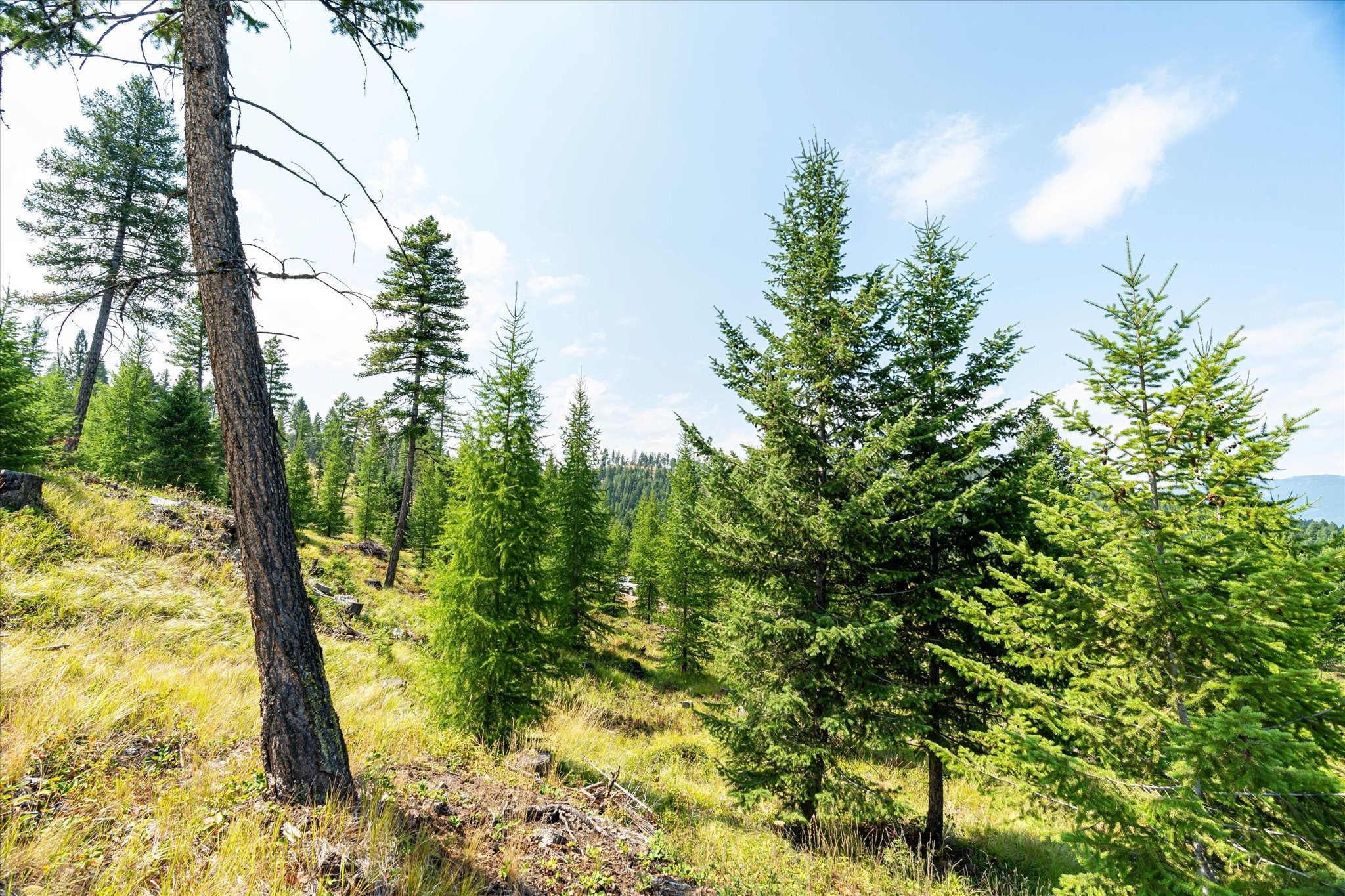 Kalispell, Montana 59901, United States, ,Land,Active,48643