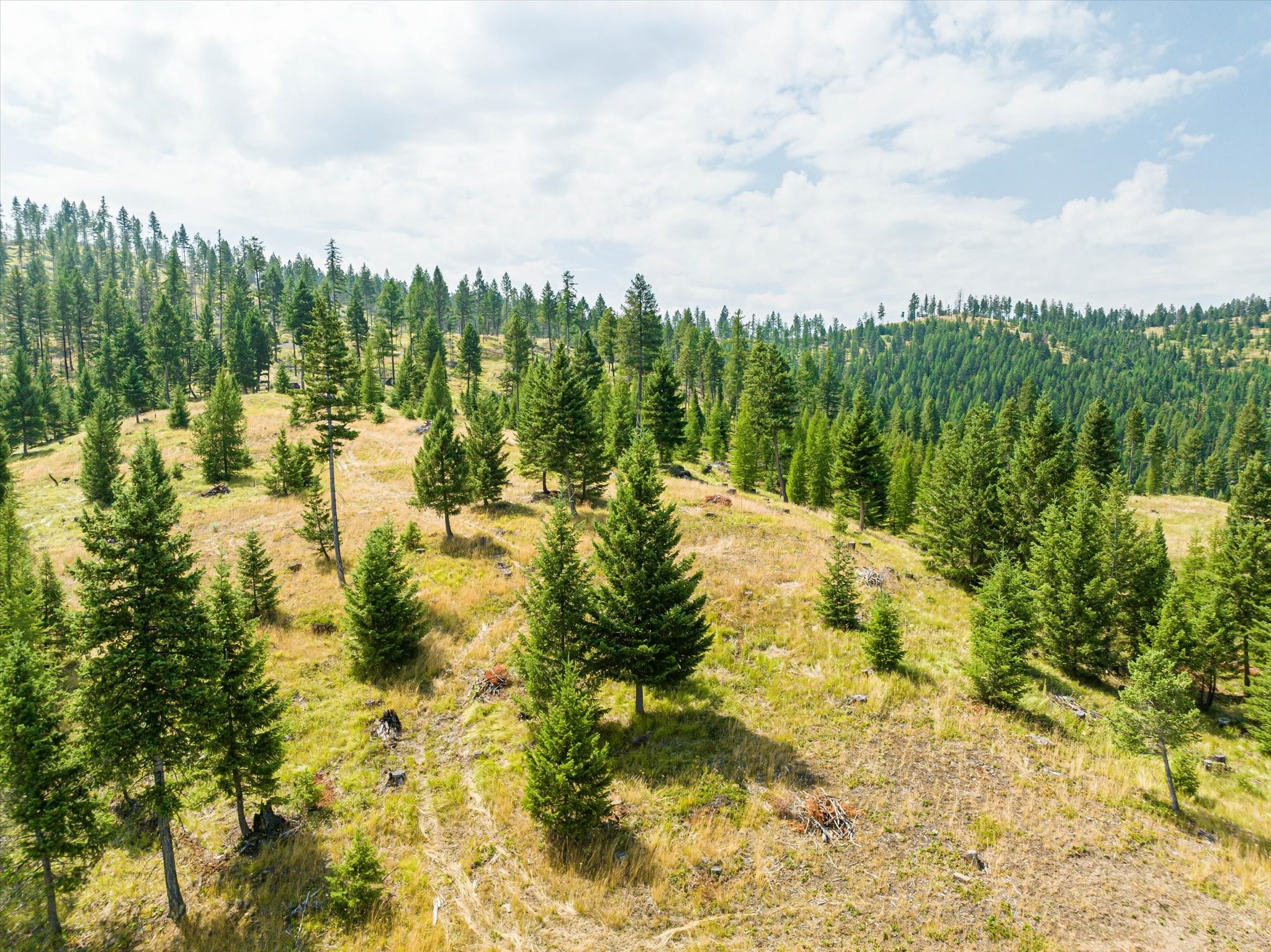 Kalispell, Montana 59901, United States, ,Land,Active,48643