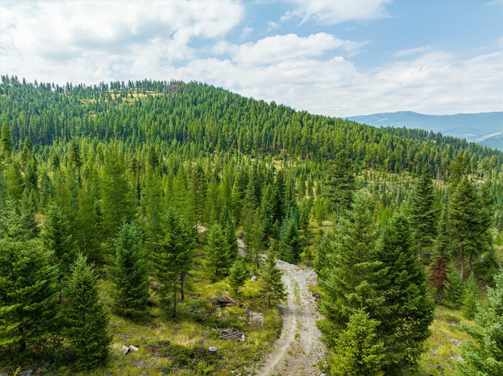 Kalispell, Montana 59901, United States, ,Land,Active,48643