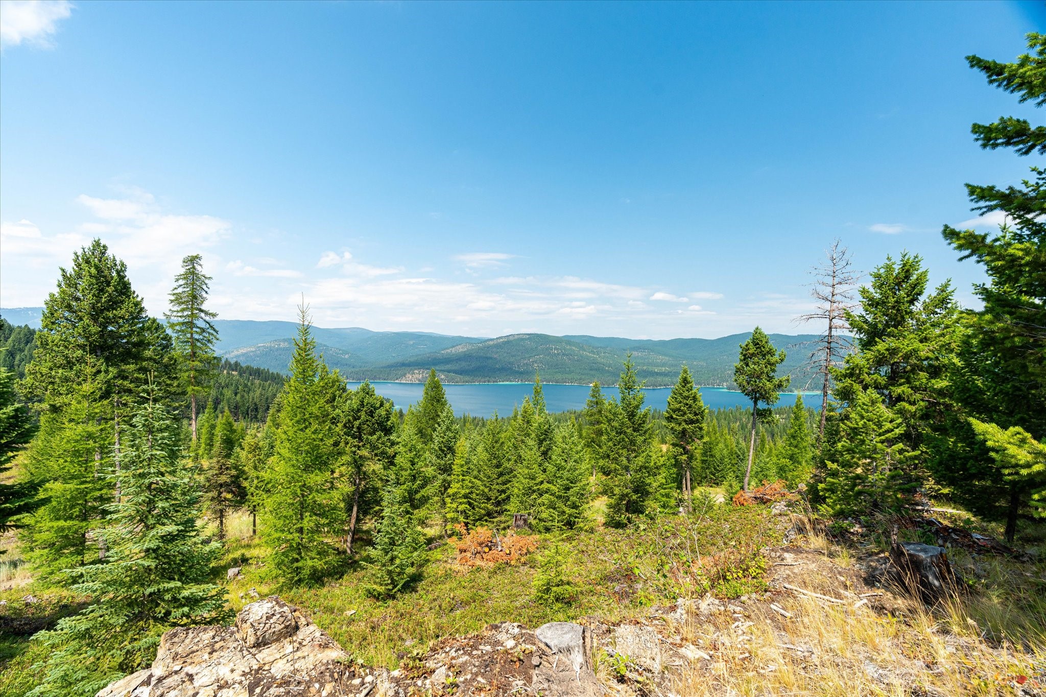 Kalispell, Montana 59901, United States, ,Land,Active,48643