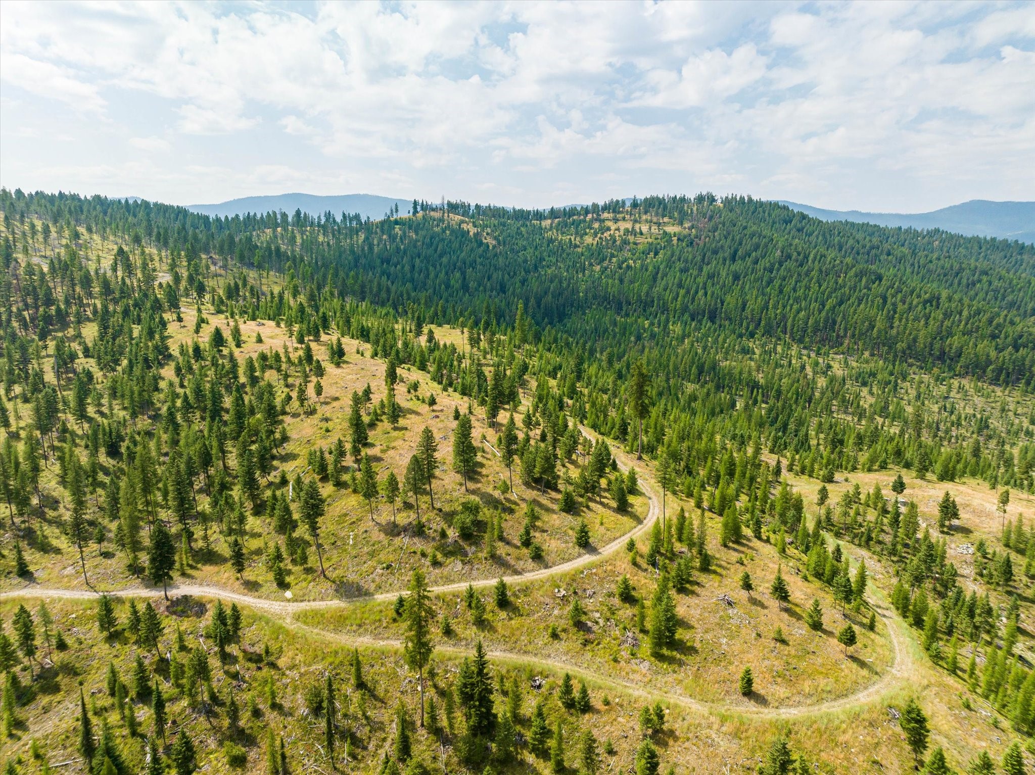 Kalispell, Montana 59901, United States, ,Land,Active,48643