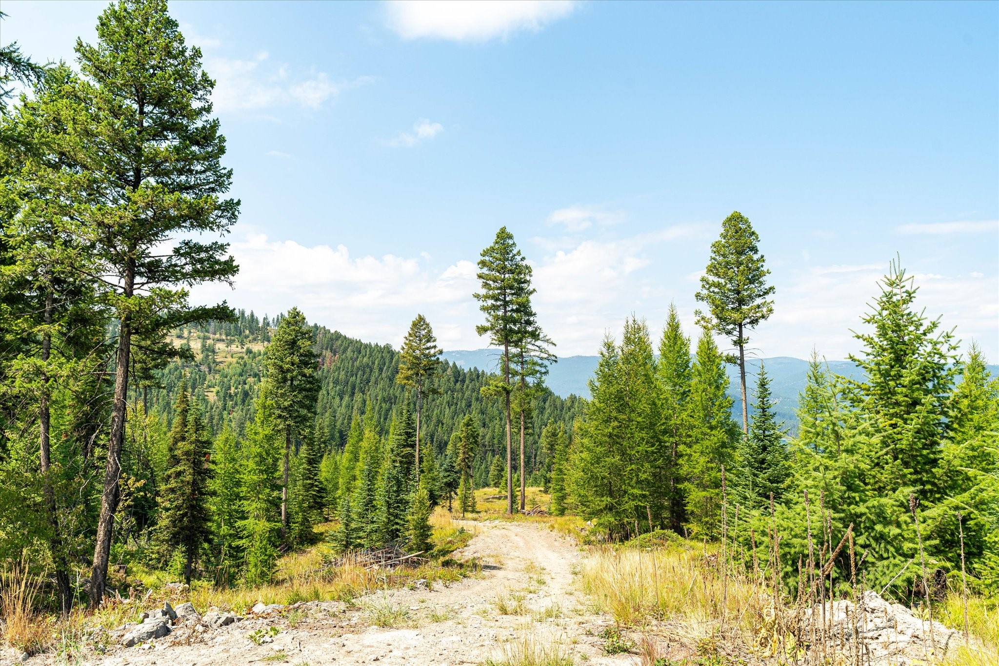 Kalispell, Montana 59901, United States, ,Land,Active,48643